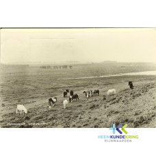 Uiterwaarden Pannerden FA0000034